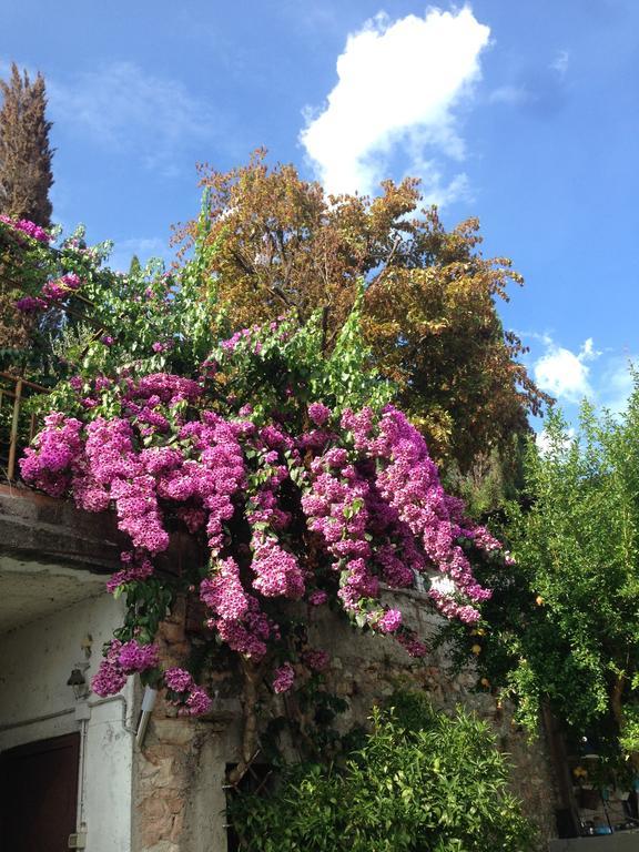 Villa Raoul Salò Dış mekan fotoğraf